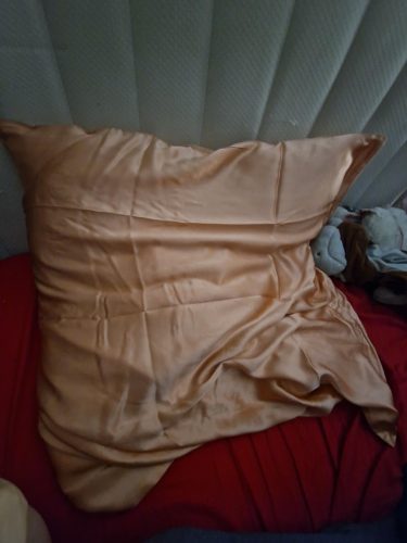 Taie d'oreiller en soie homme (6A/22 mommes) TELOS photo review