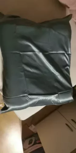 Taie d'oreiller en soie homme (6A/22 mommes) TELOS photo review