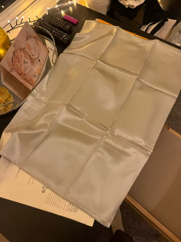 Taie d'oreiller en soie homme (6A/22 mommes) TELOS photo review